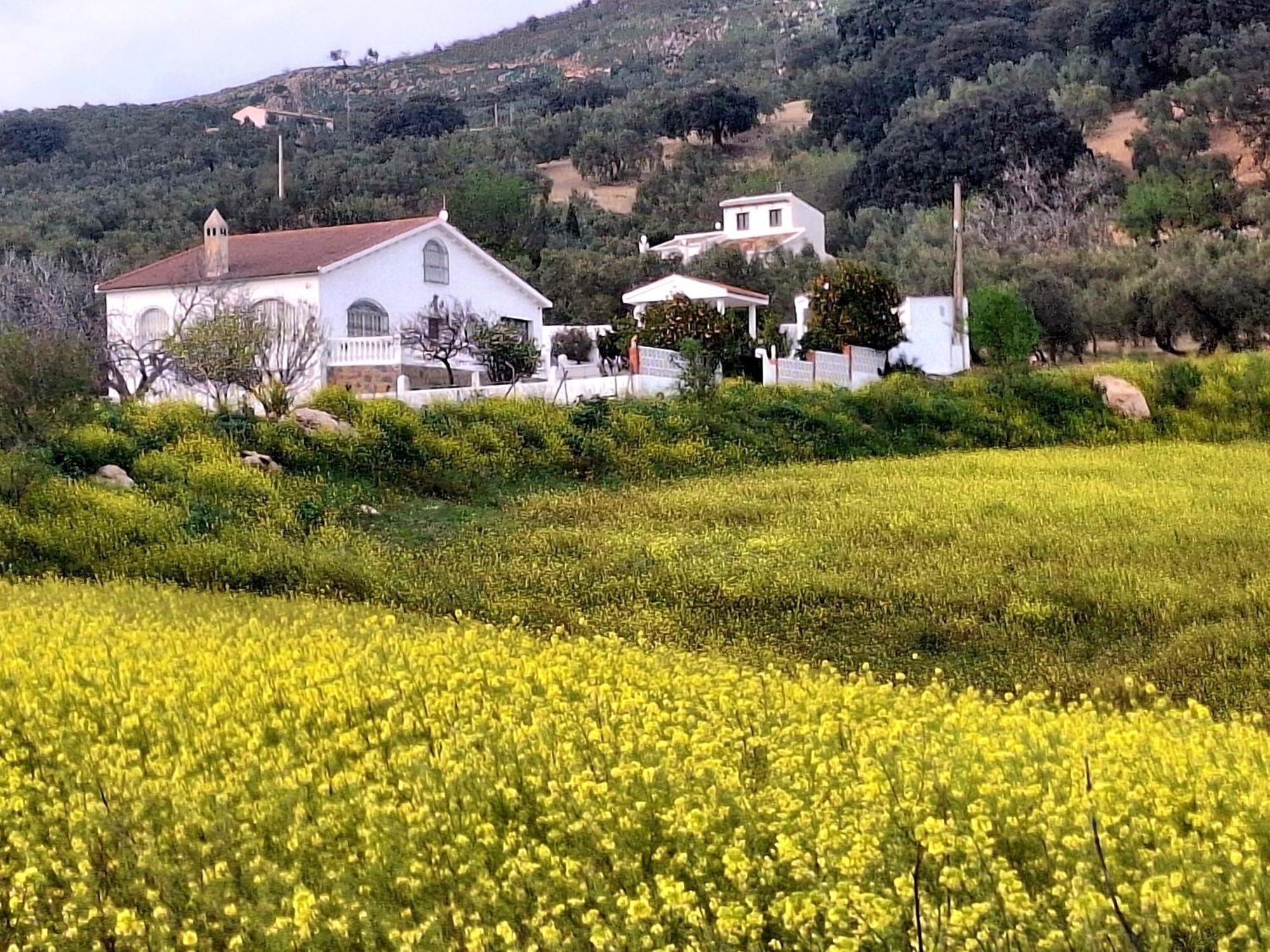 Aires De Gibalto Feriehus